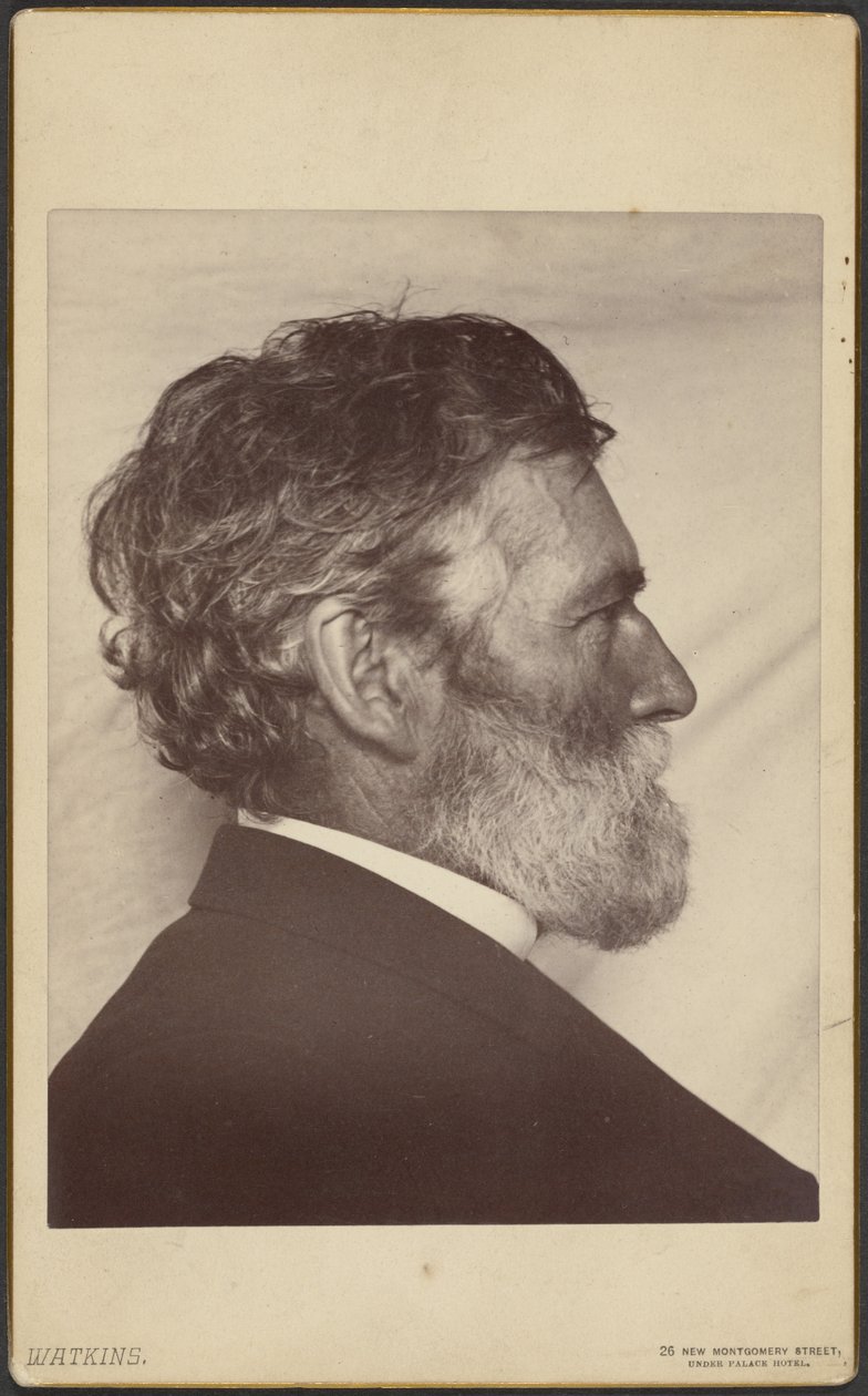 Portrét George Davidsona od Carleton Watkins