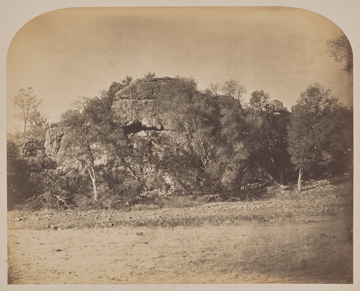 [Tower Rock - West] od Carleton Watkins