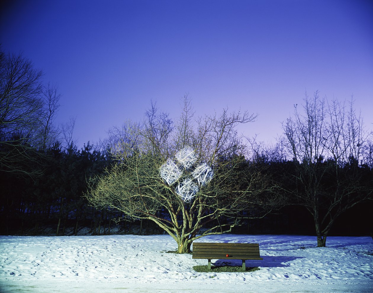 Malování ve tmě, 2012 od Carli Choi