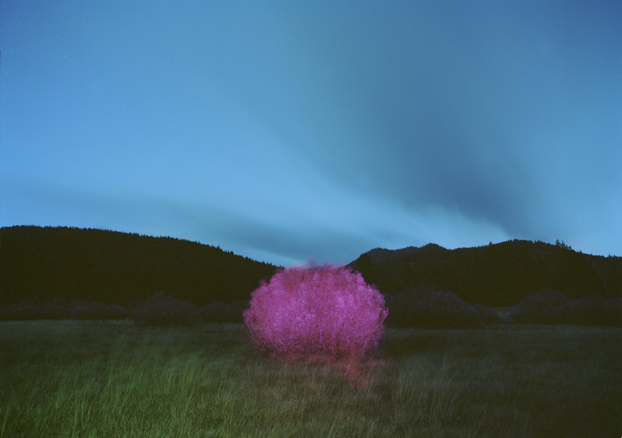 Malování ve tmě, 2015 od Carli Choi