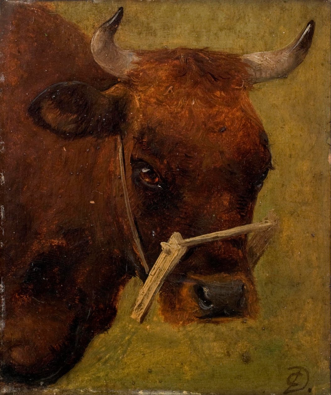 Hlava krávy. Studie. od Carlo Dalgas