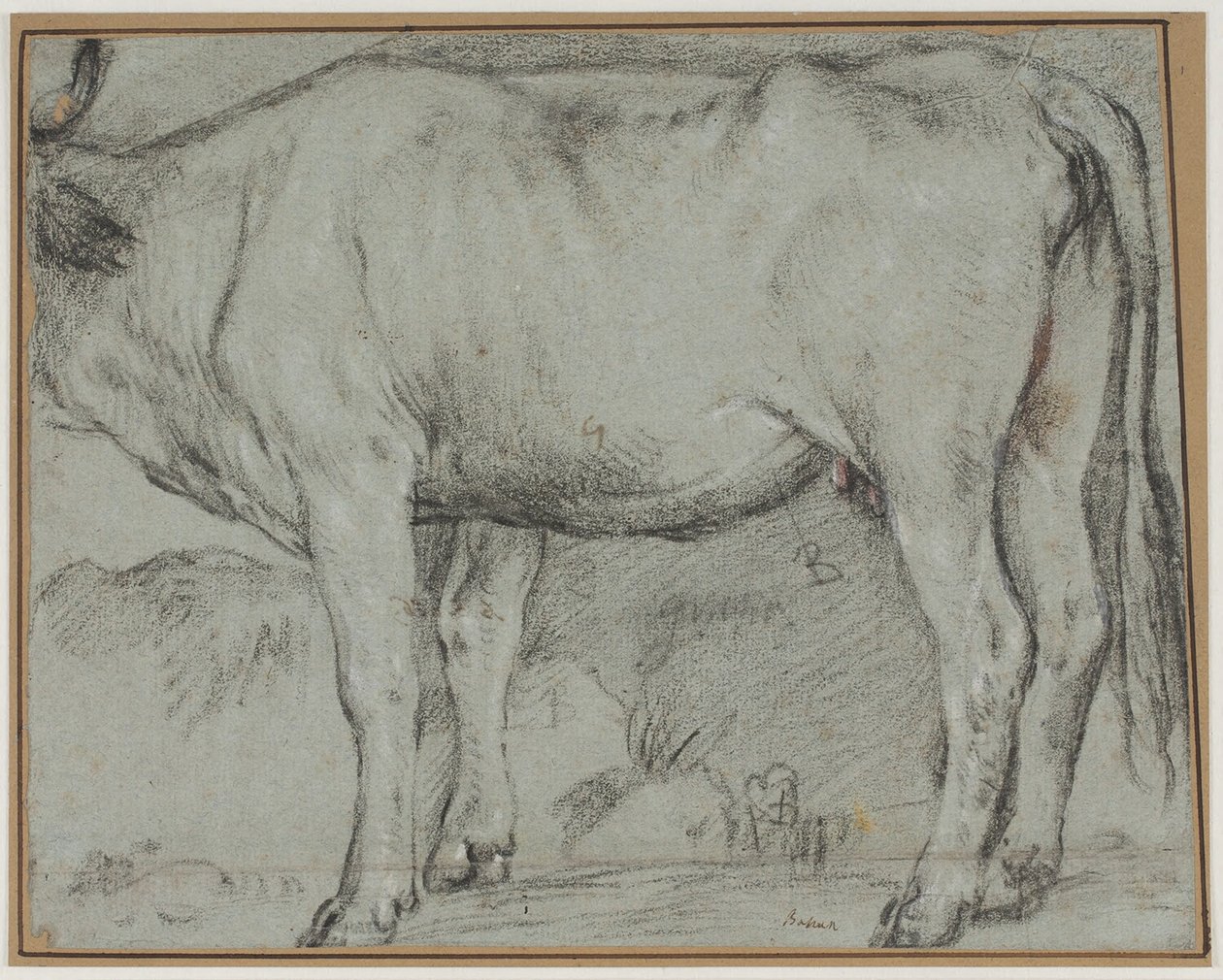 Kráva stojící (chybí hlava) od Carlo Caliari