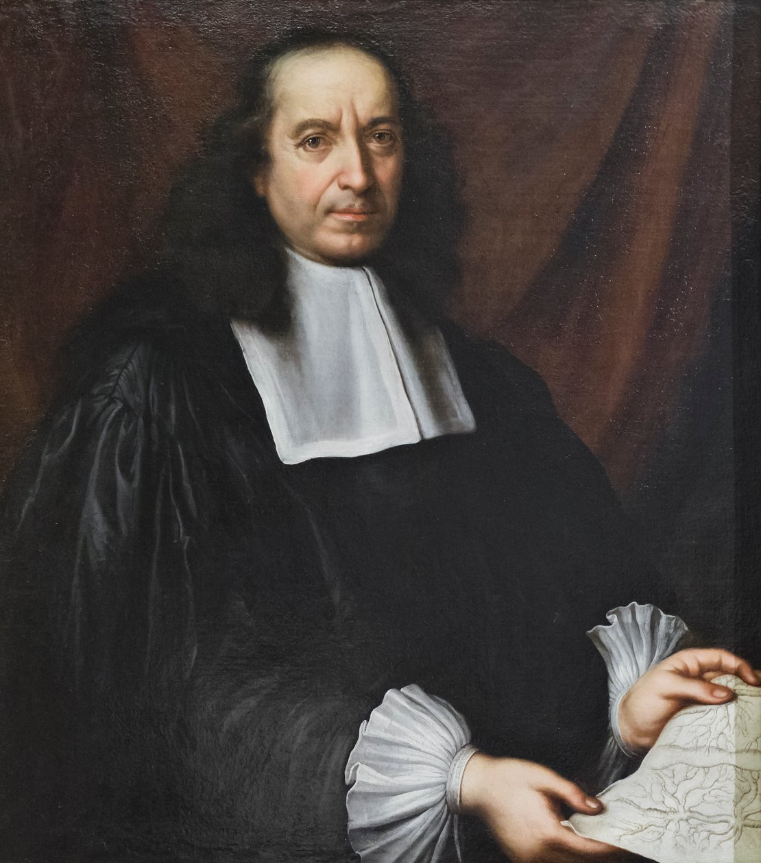 Portrét Marcella Malpighiho (obraz) od Carlo Cignani
