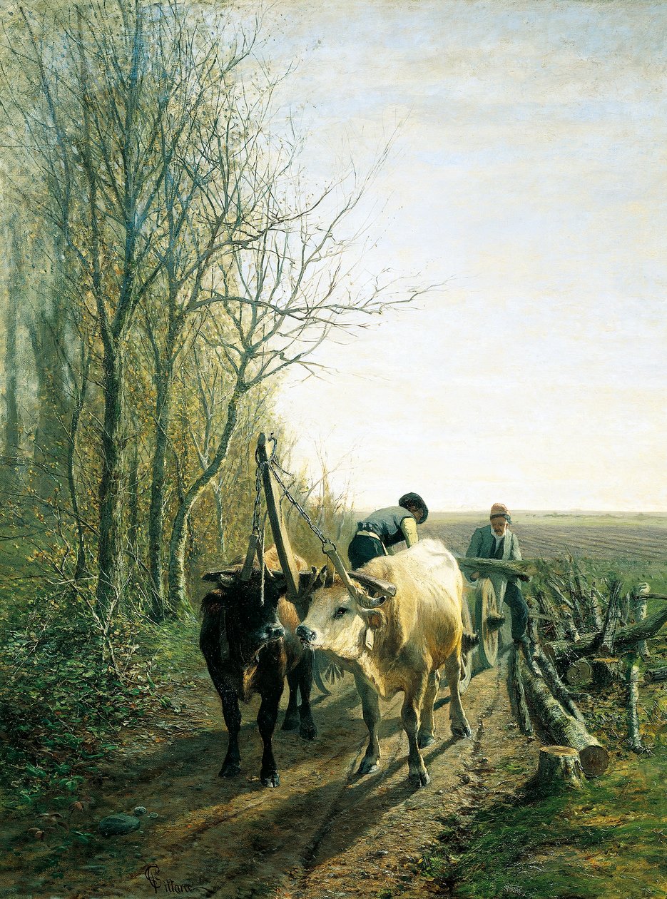 Předpokládaná daň (voli zapřaženi do vozu) od Carlo Pittara