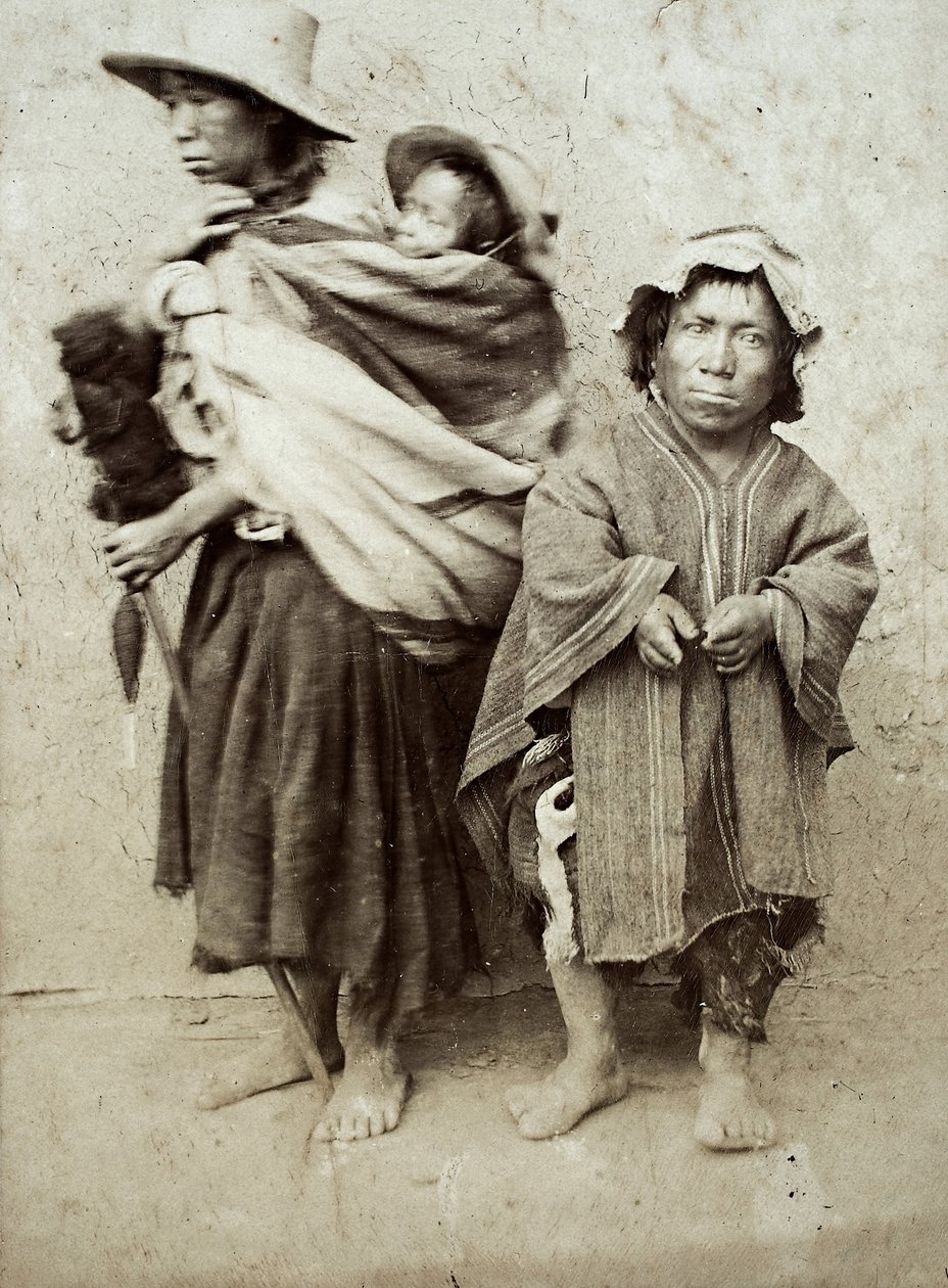 Druhy Cajamarca (potisk alba) od Carlos Kroehle