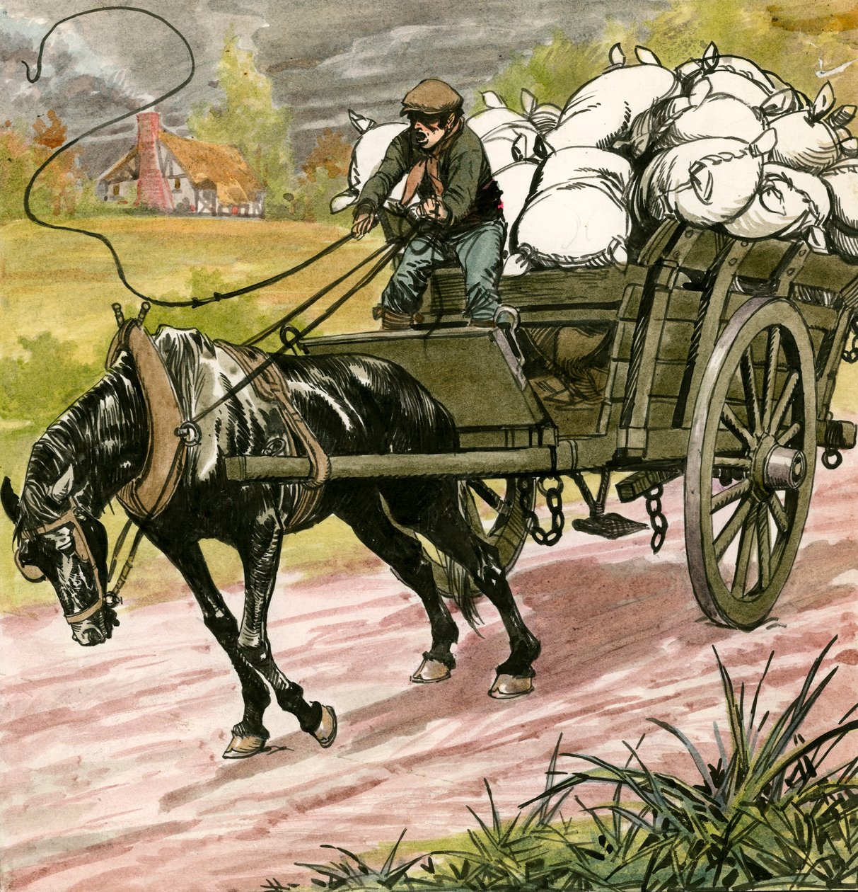 Černá krása od Carlos Gabriel Roume