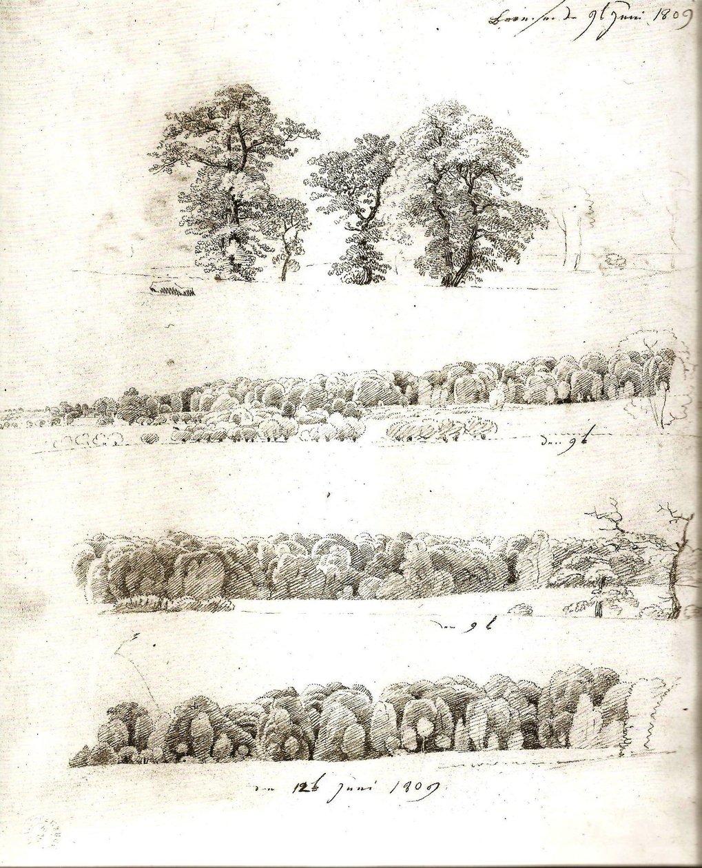 Studie stromů 1809 od Caspar David Friedrich