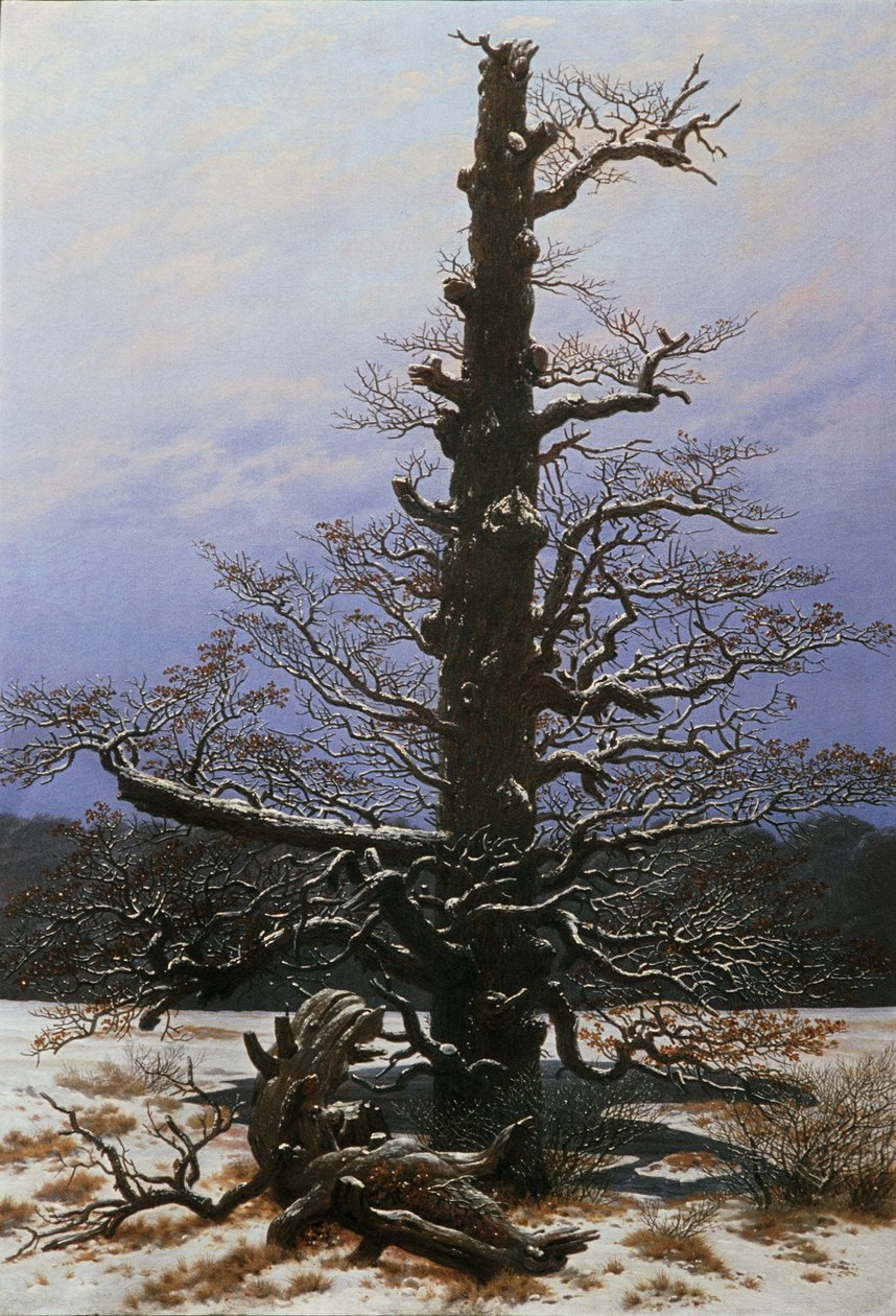 Dub ve sněhu od Caspar David Friedrich