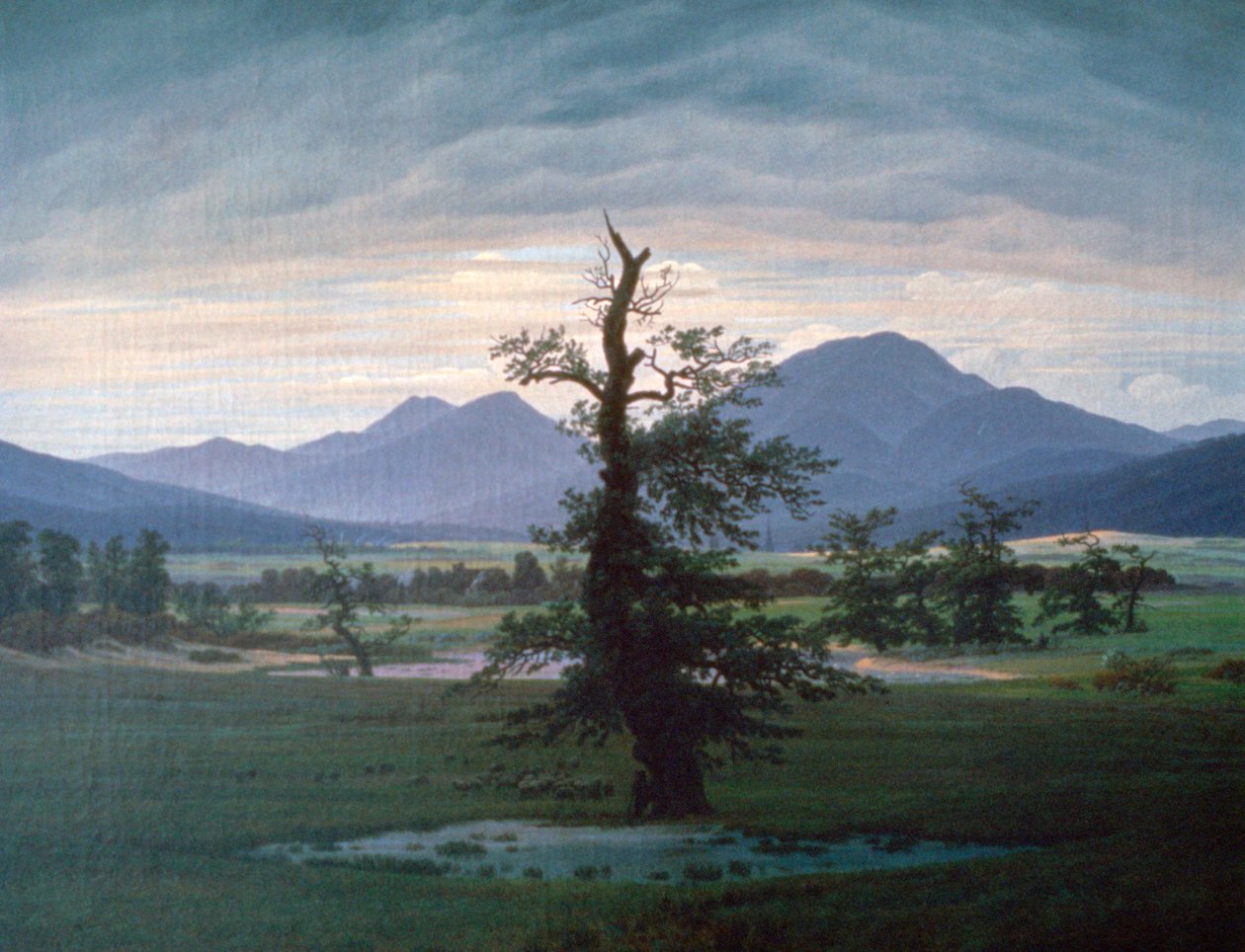 Osamělý strom, 1823 od Caspar David Friedrich