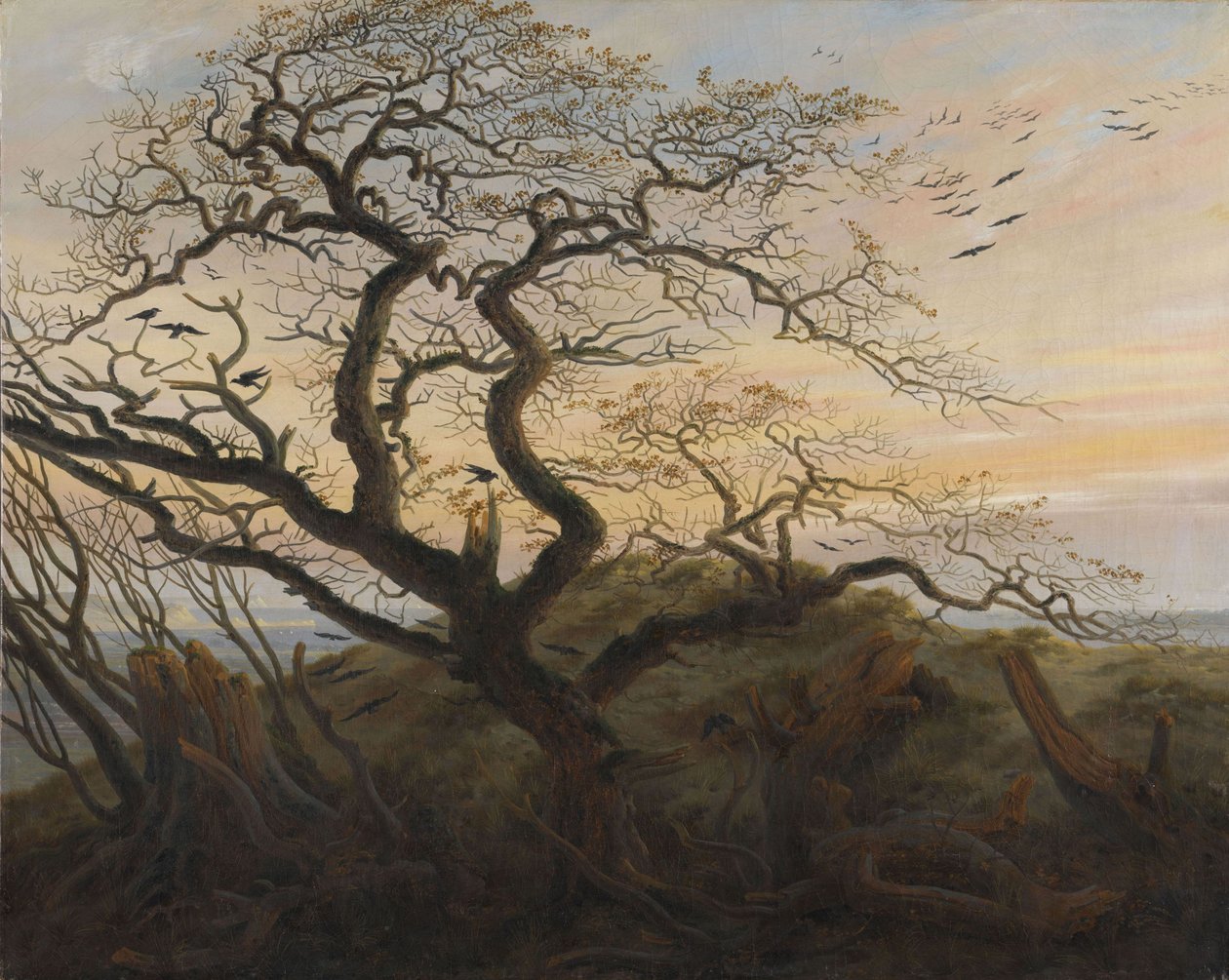 Strom vran od Caspar David Friedrich