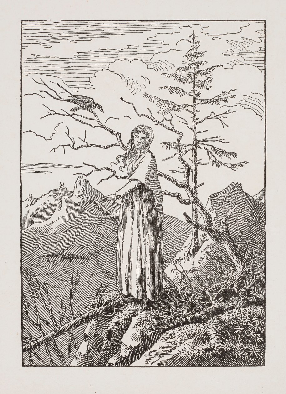 Žena s havranem u propasti od Caspar David Friedrich