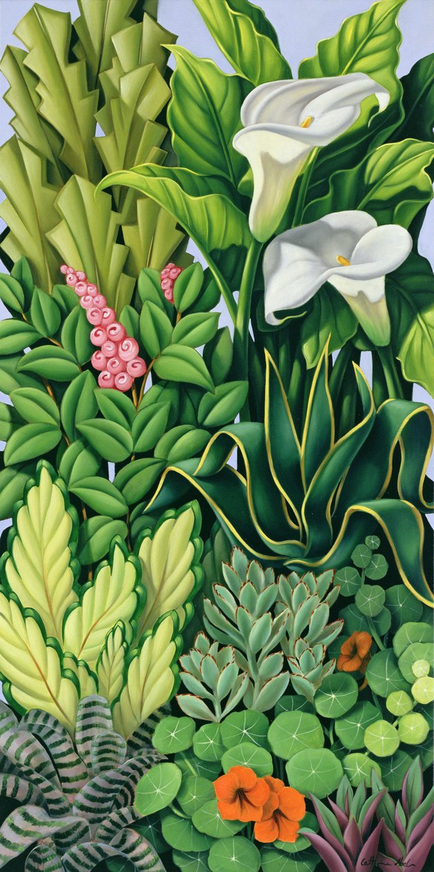 Listí I od Catherine Abel