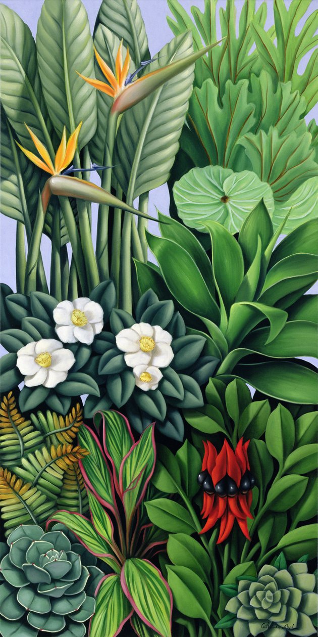 Listí II od Catherine Abel
