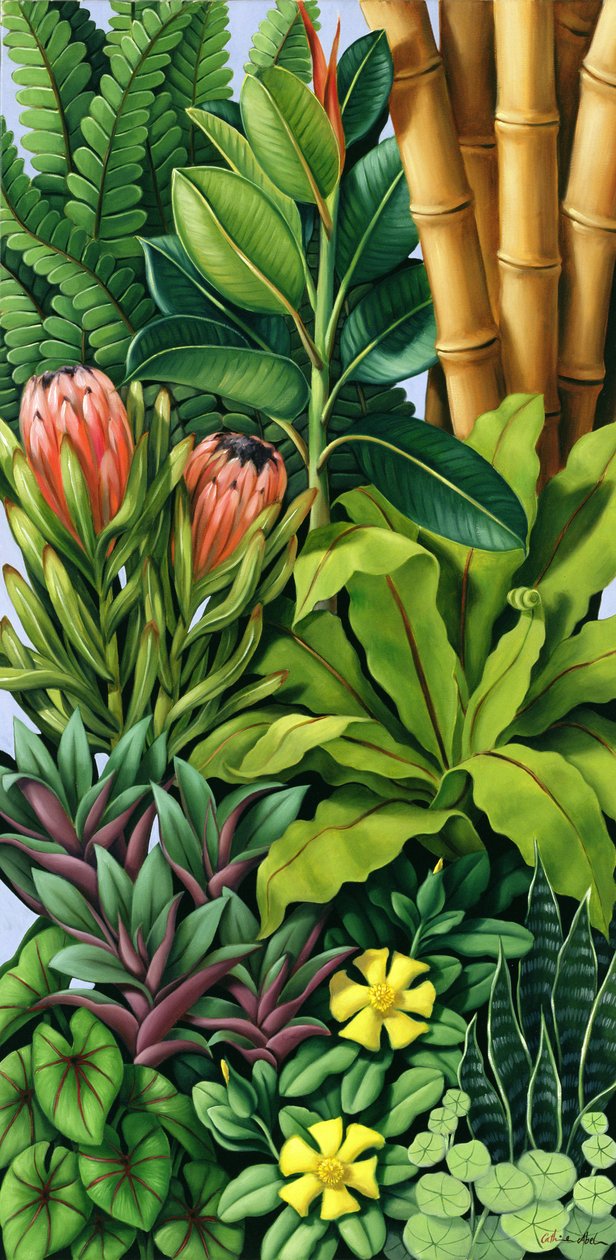 Listí III od Catherine Abel