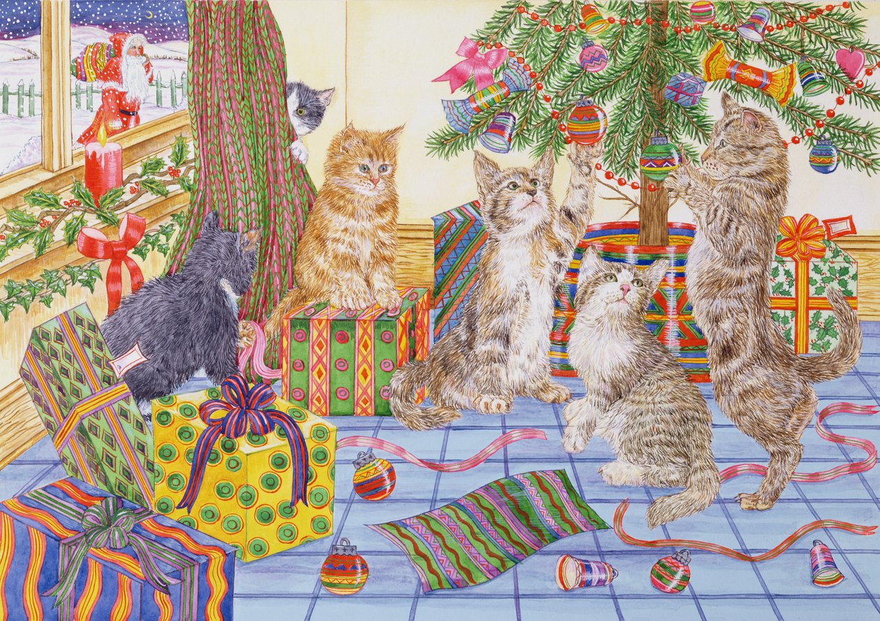 The Cats Christmas (wc na papíře) od Catherine Bradbury