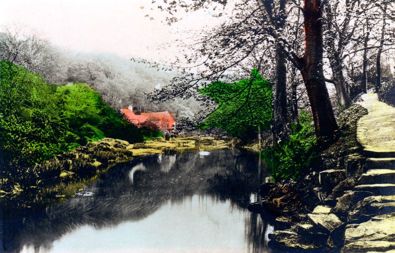 Jesmond Dene, Newcastle-upon-Tyne, Tyne & Wear, 1926. od Cavenders Ltd