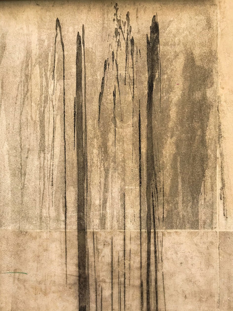 Kompozice - Textura, 2020 (foto) od Cécile Jamet
