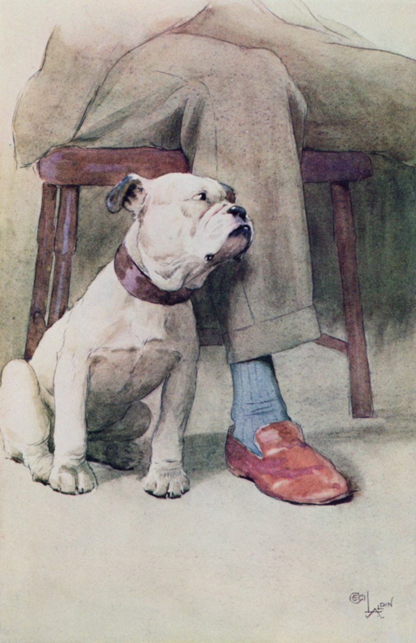 Buldok (pero a inkoust a prát na papíře) od Cecil Charles Windsor Aldin