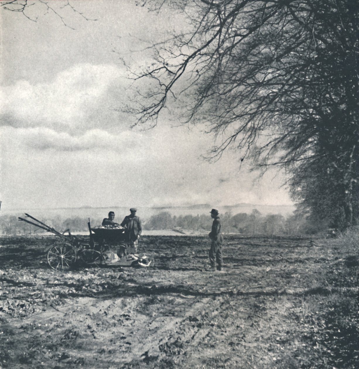 Daleko do pole a brázdy, 1941 od Cecil Beaton