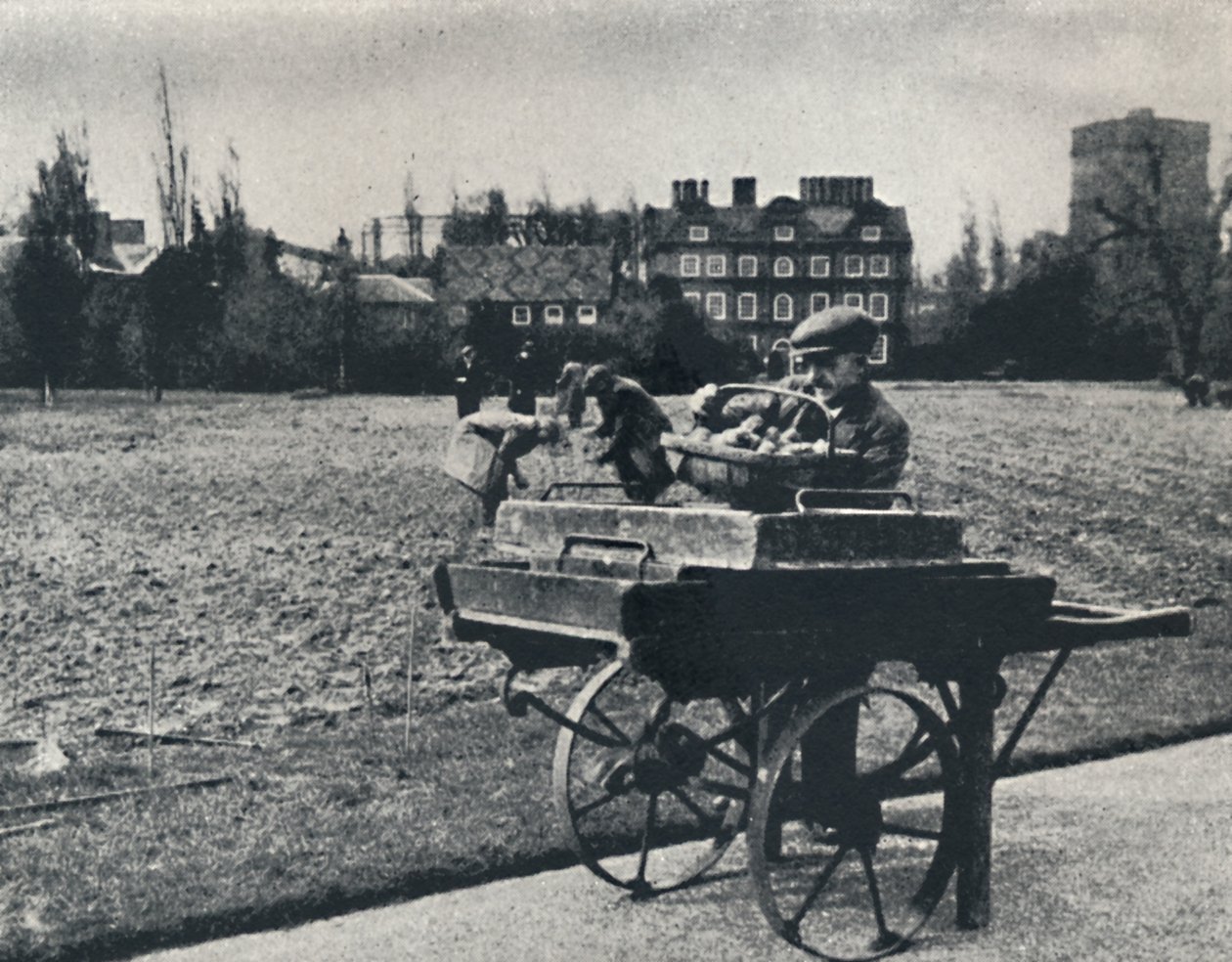 Brambory v Kew Gardens, 1941 od Cecil Beaton
