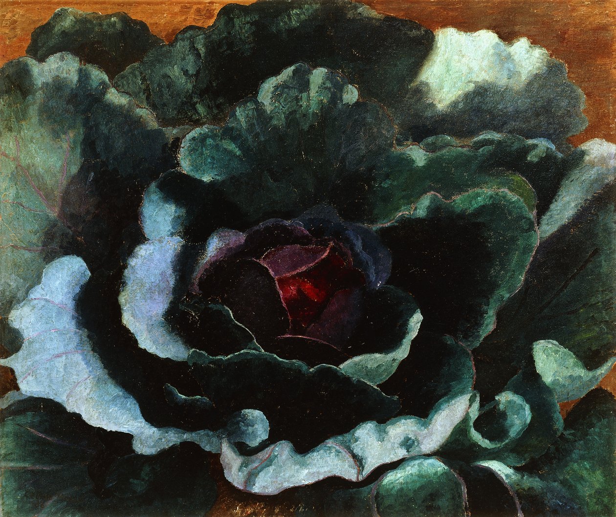 Zelí od Cedric Morris