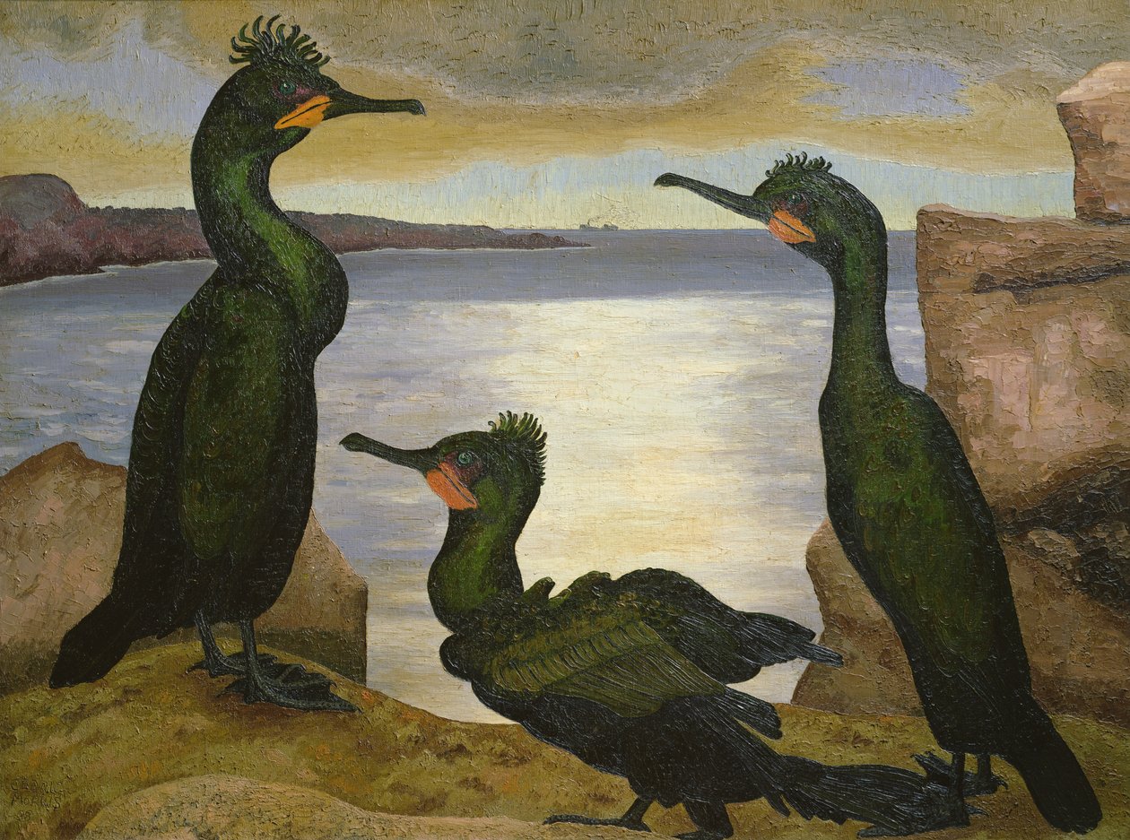 Shags od Cedric Morris