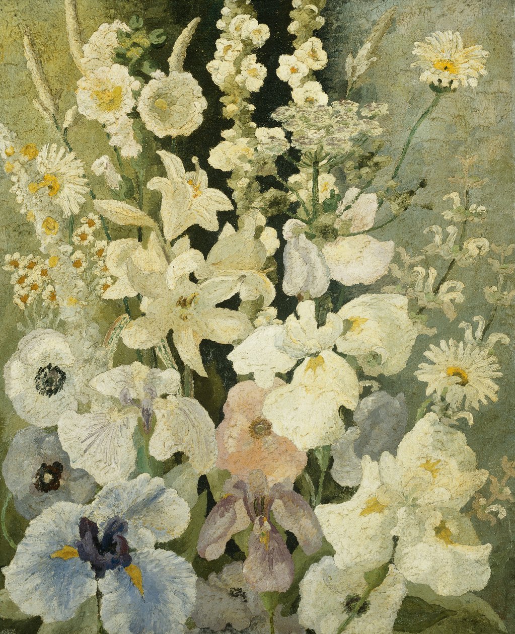 Bílé květy od Cedric Morris