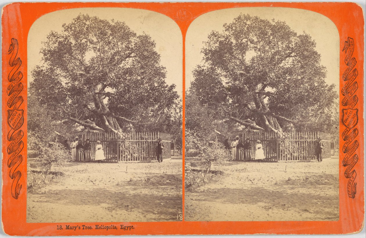 Marys Tree. Heliopolis, Egypt. od Charles Bierstadt