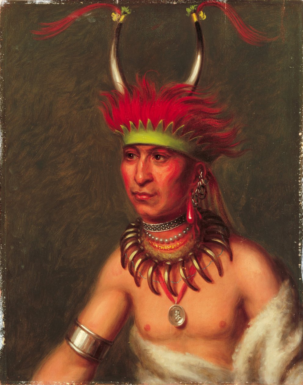 Monchousia (bílý chochol), rakovina od Charles Bird King