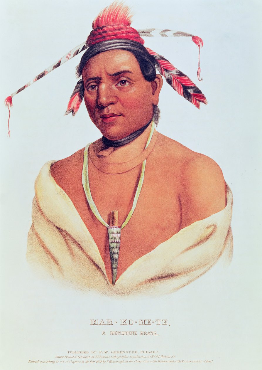 Portrait of Mar-Ko-and-Te, statečného Menomene 1838 od Charles Bird King