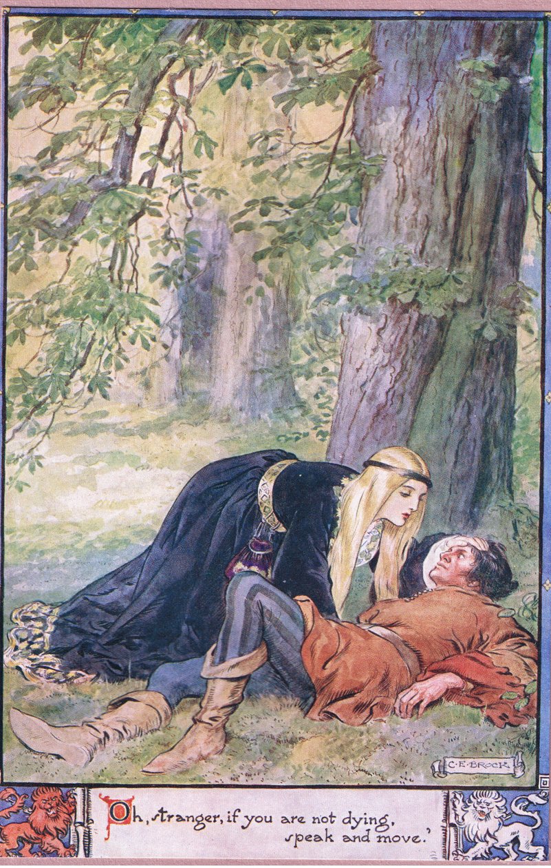 Ach, cizinče, pokud neumíráš, promluv a pohni se. od Charles Edmund Brock