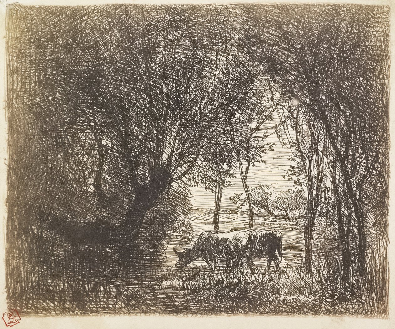 Krávy v lese, 1862 od Charles Francois Daubigny