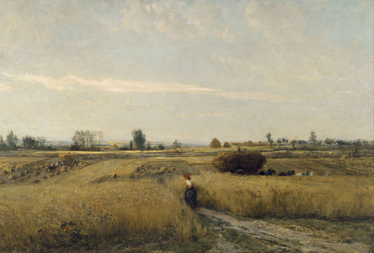 Sklizeň od Charles Francois Daubigny