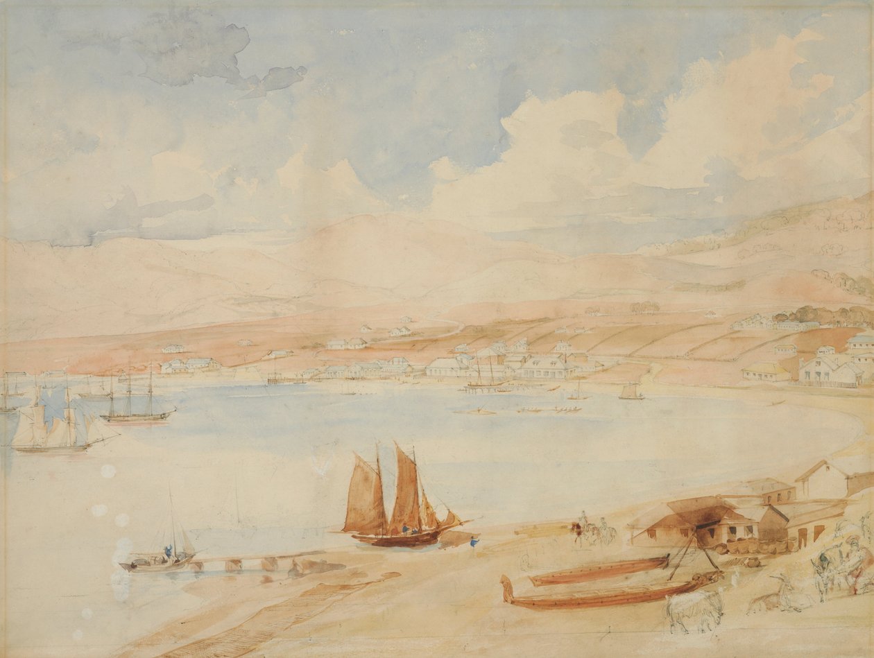 Wellington Harbour, N.Z. od Charles Heaphy