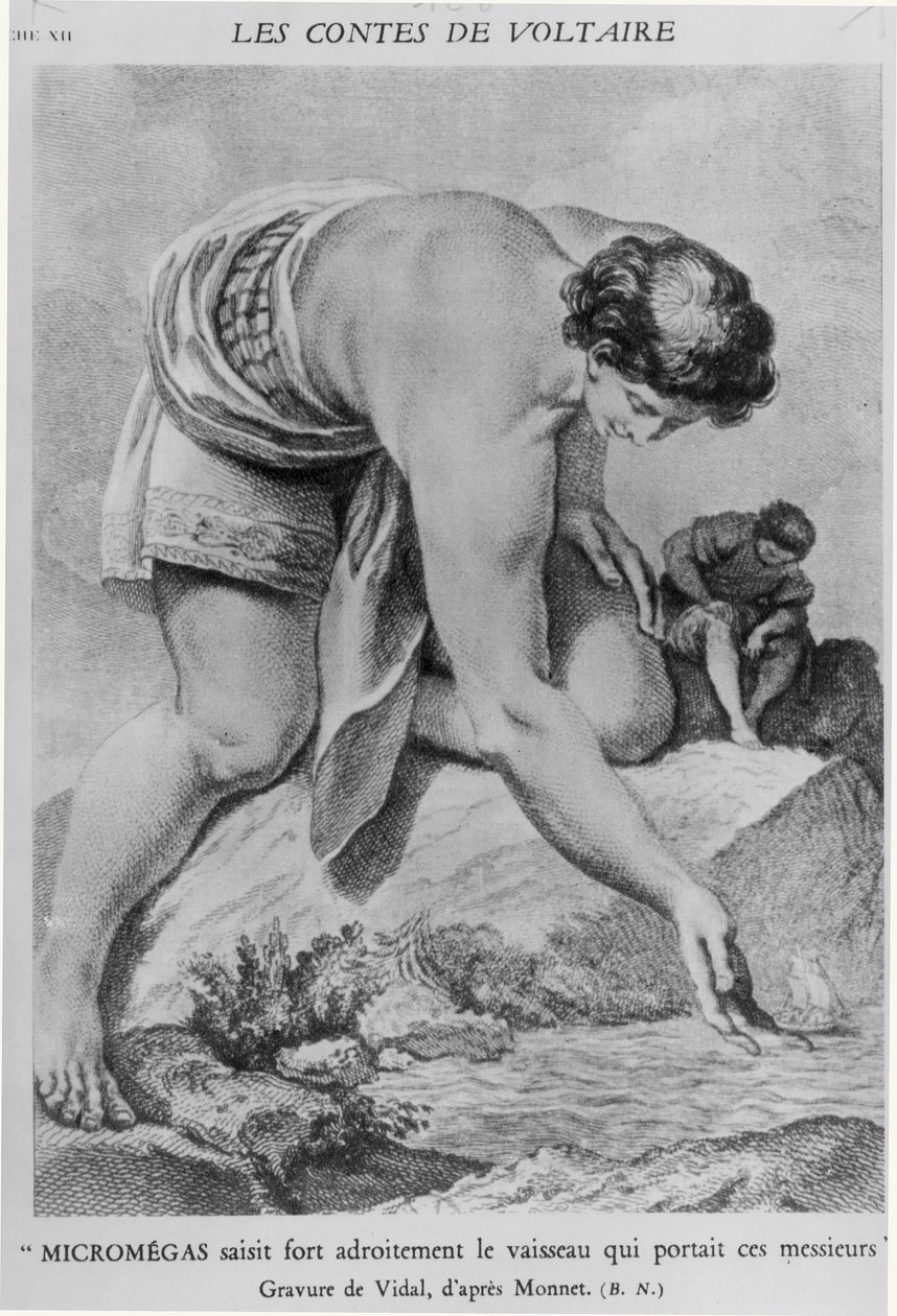 „Micromegas dovedně zvedne loď, která tyto pány převážela“, z „Les Contes“ od Francoise Marie Arouet de Voltaire (1694-1778) vyrytého Gerardem Vidalem (1742-1801) od Charles Monnet