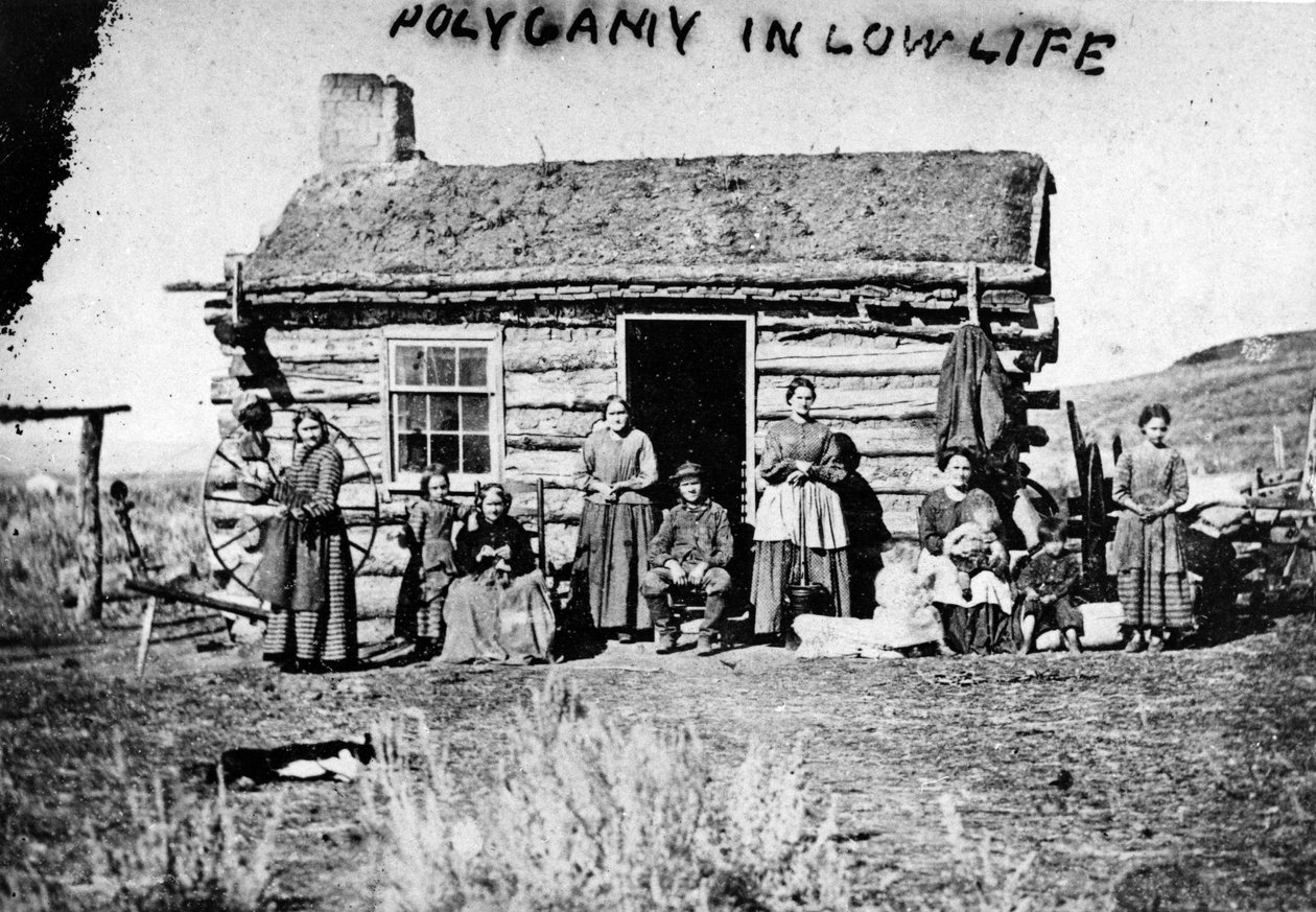 Polygamie v nízkých vrstvách, cca 60. léta 19. století od Charles Roscoe Savage