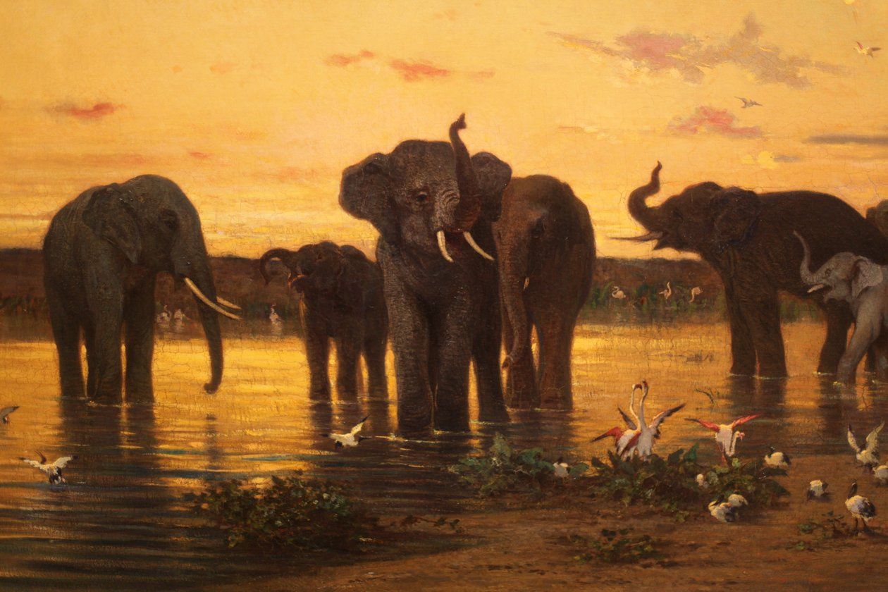 Afrických slonů od Charles Émile de Tournemine