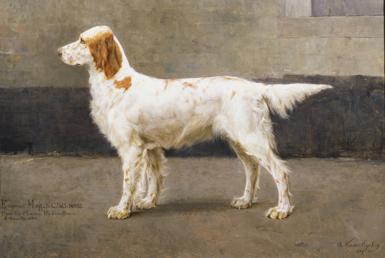 Císařovna Meg, KCSB, 14953, 1885 (pár s 378731) od Charles van den Eycken