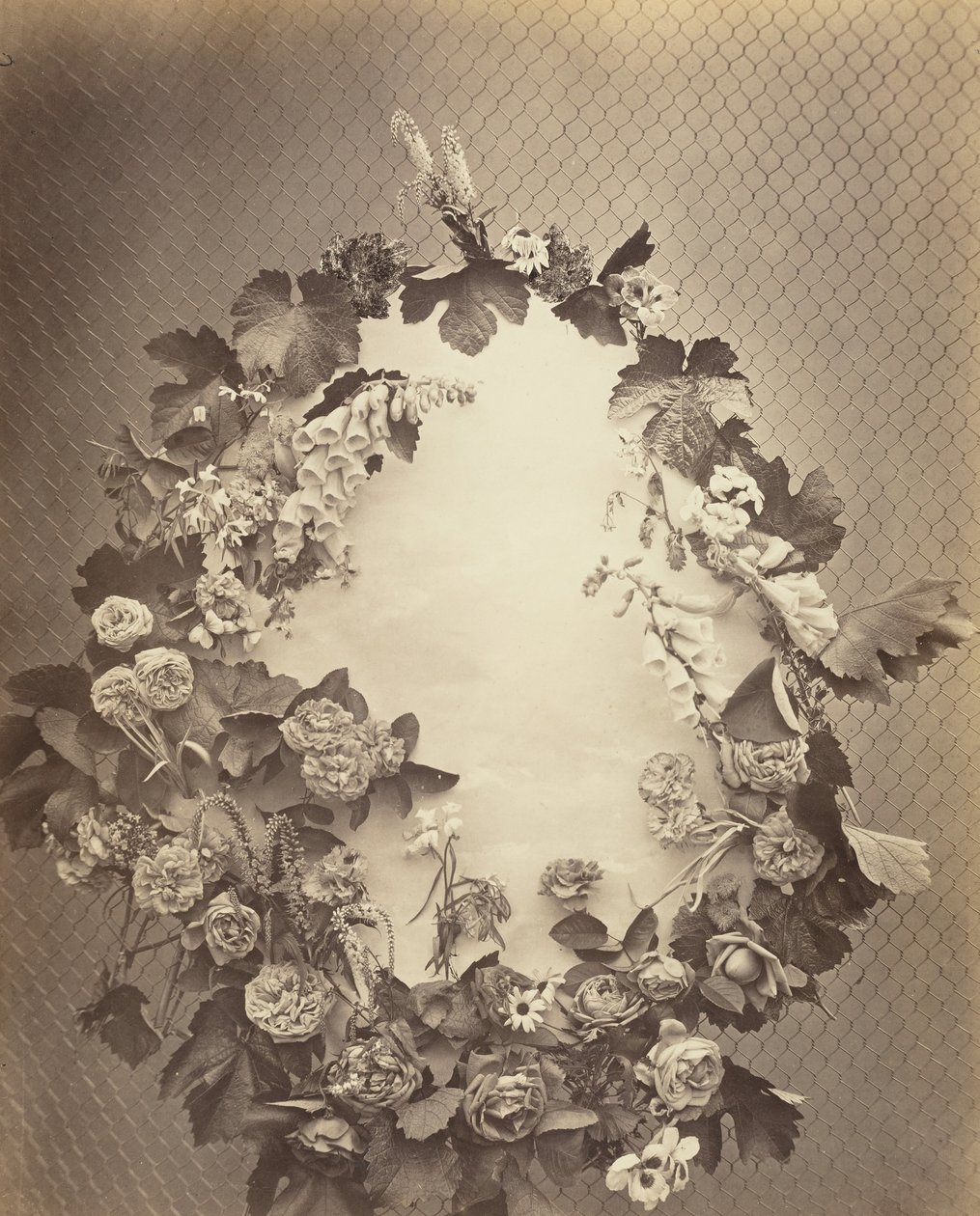 Bez názvu [věnec], c. 1864. od Charles Aubry