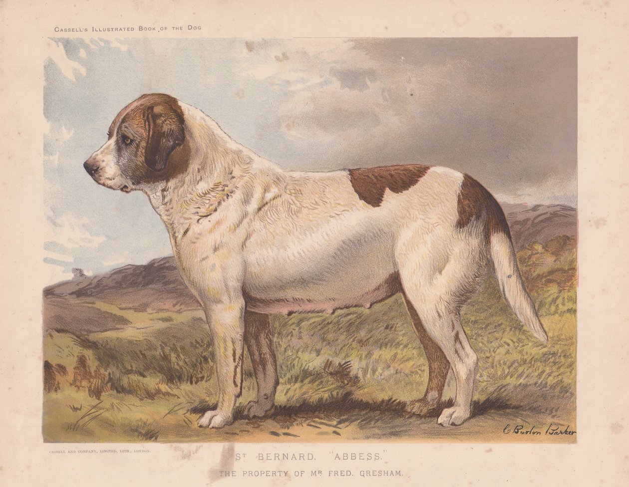 Svatý Bernard "Abatyše." od Charles Burton Barber