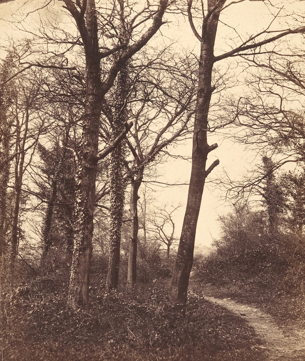 Zima, 1855. od Charles Conway