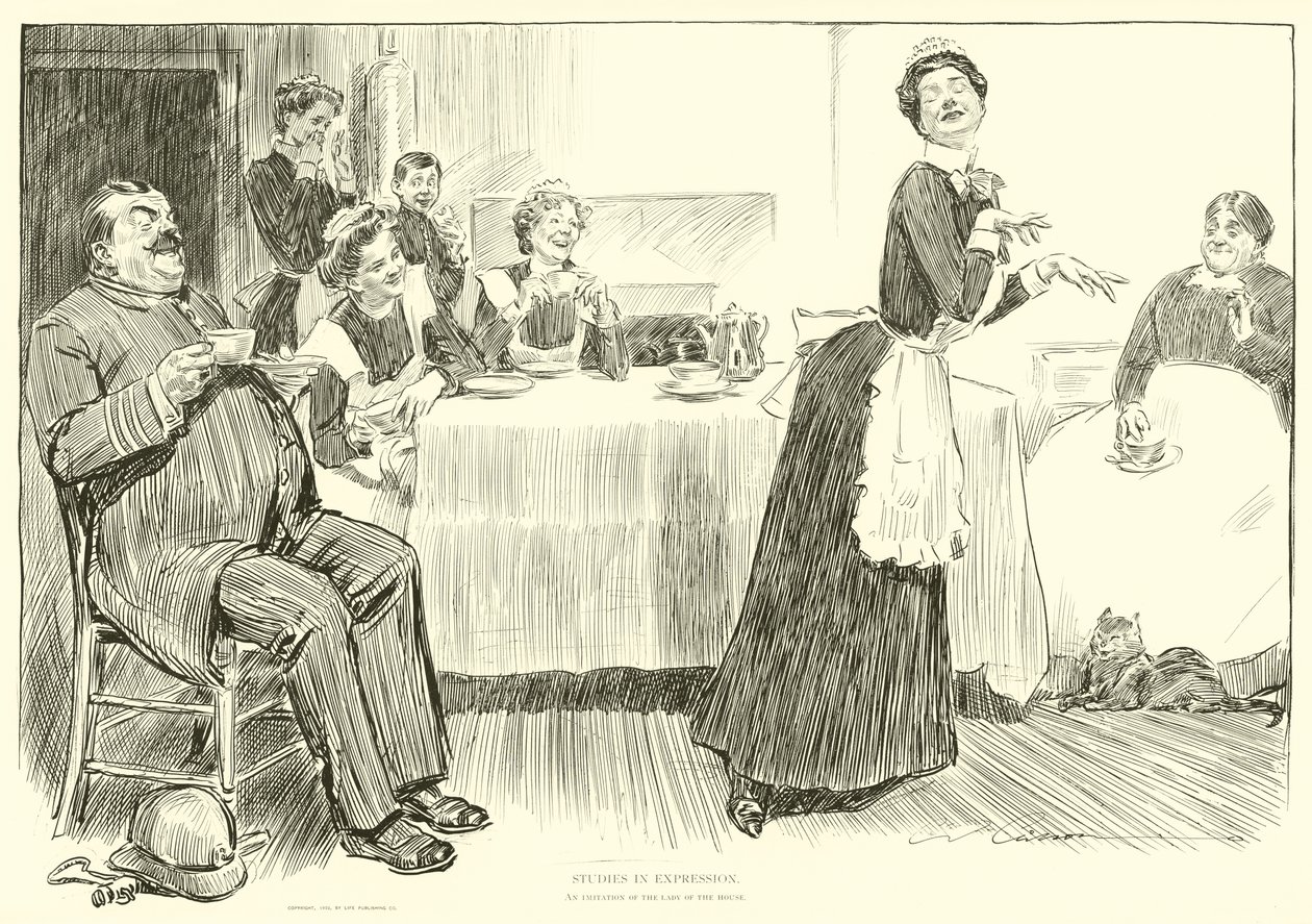 Ilustrace pro The Social Ladder od Charles Dana Gibson