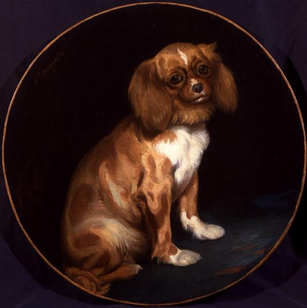 King Charles španěl od Charles Emile Callande de Champmartin