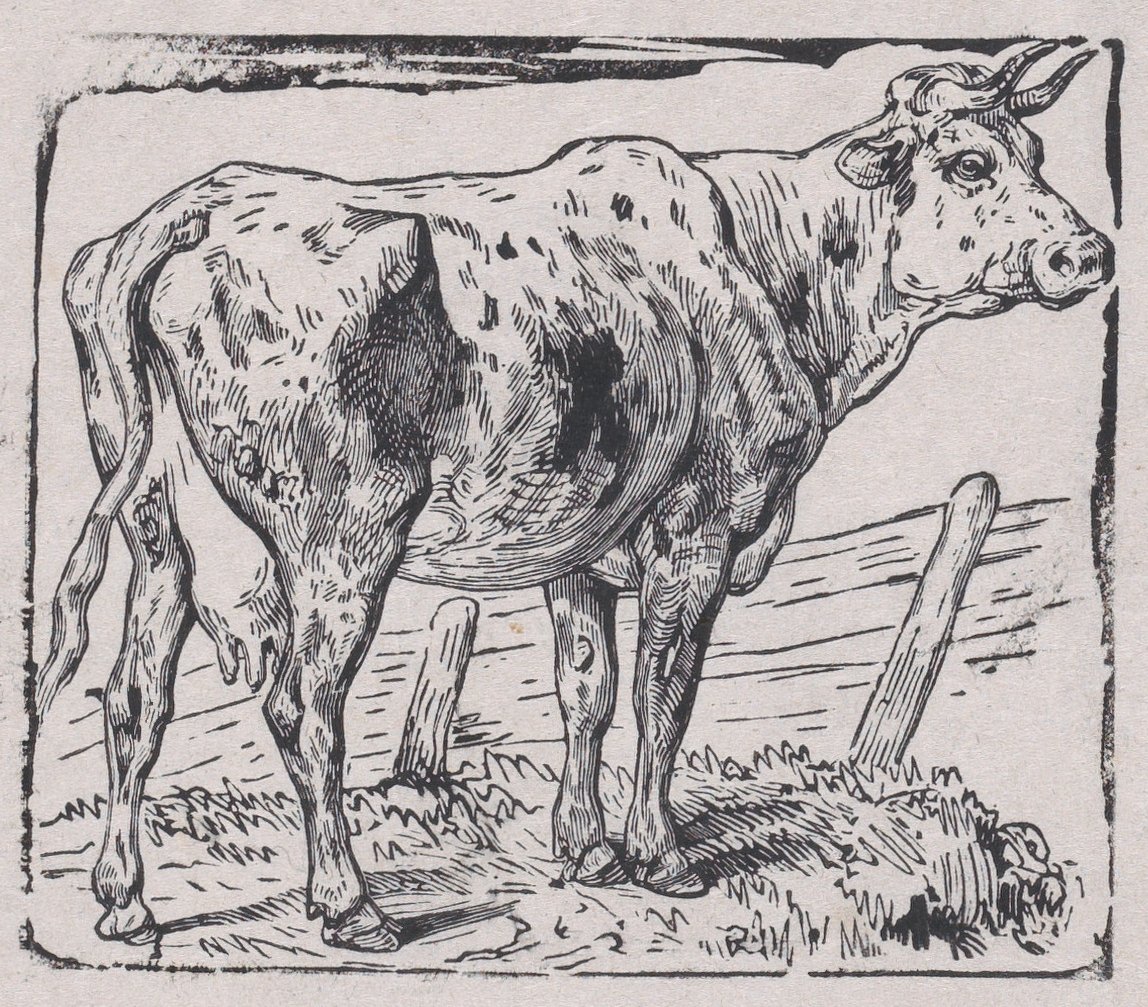 Kráva, ca. 1853. od Charles Emile Jacque