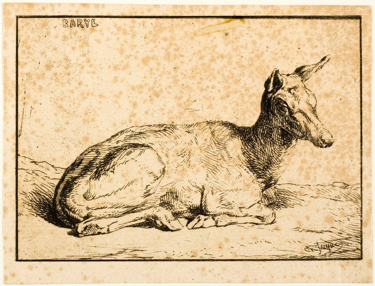 Srnka od Charles Emile Jacque