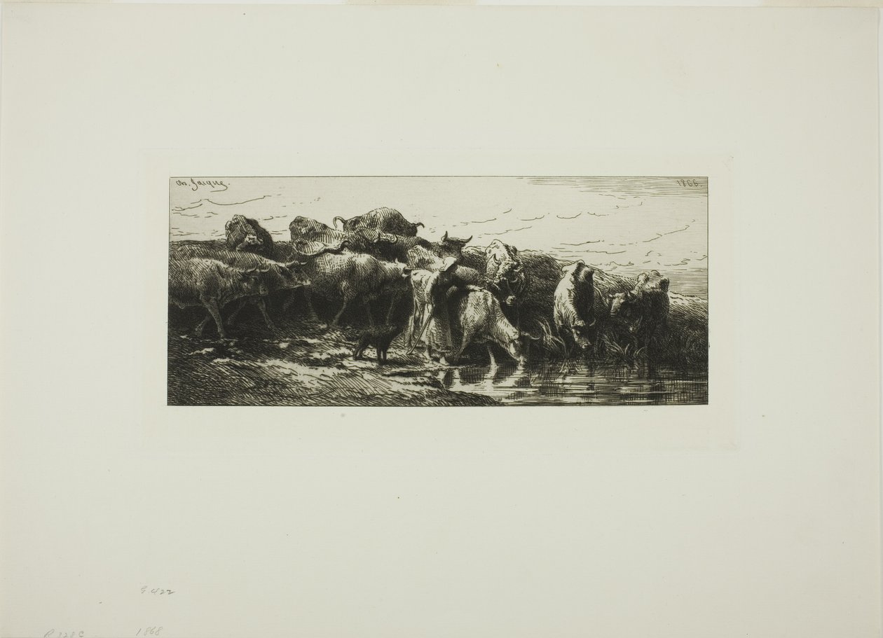 Krávy pijící z řeky od Charles Emile Jacque