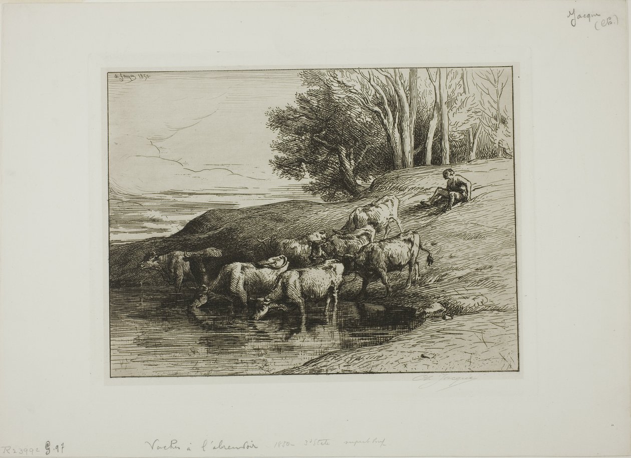 Krávy u napajedla od Charles Emile Jacque