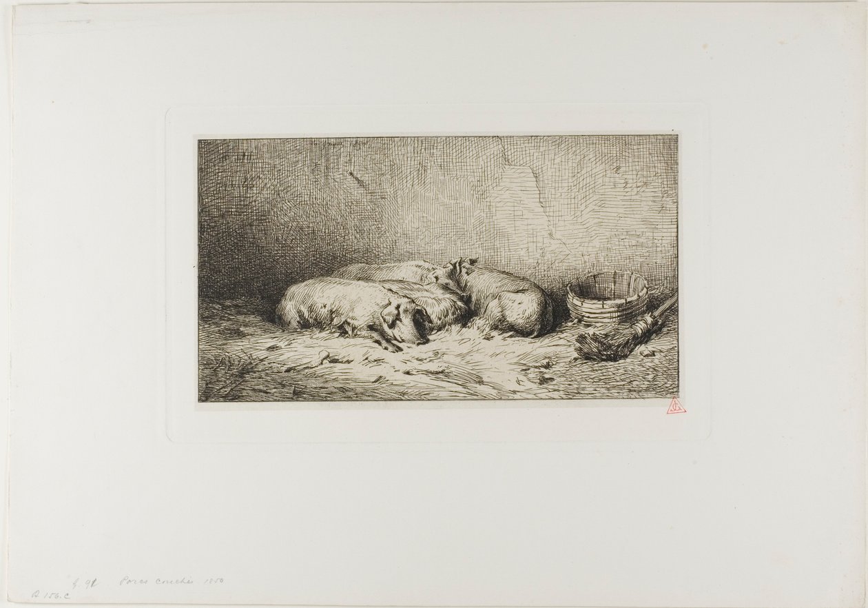 Čtyři spící prasata od Charles Emile Jacque