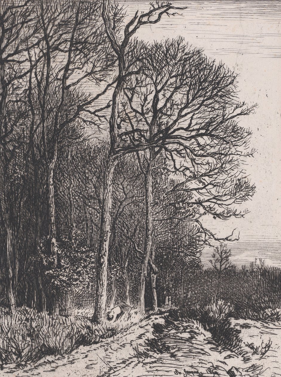 Edge of the Wood, 1846. od Charles Emile Jacque