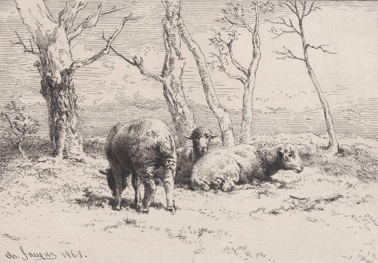 Ovce, 1868. od Charles Emile Jacque